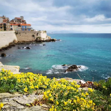 Apartment 5 Min To Sea Francaise Old Town *