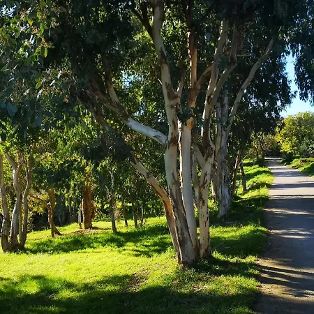 5 Min To Sea Francaise Old Town