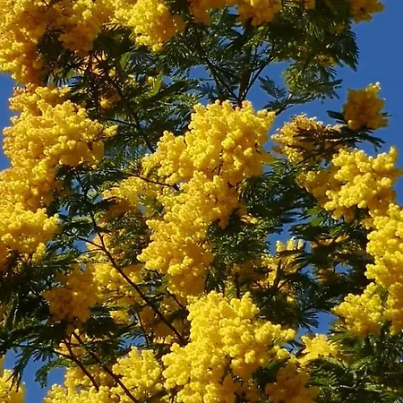 Appartamento 5 Min To Sea Francaise Old Town Antibes