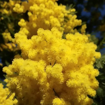 5 Min To Sea Francaise Old Town Antibes