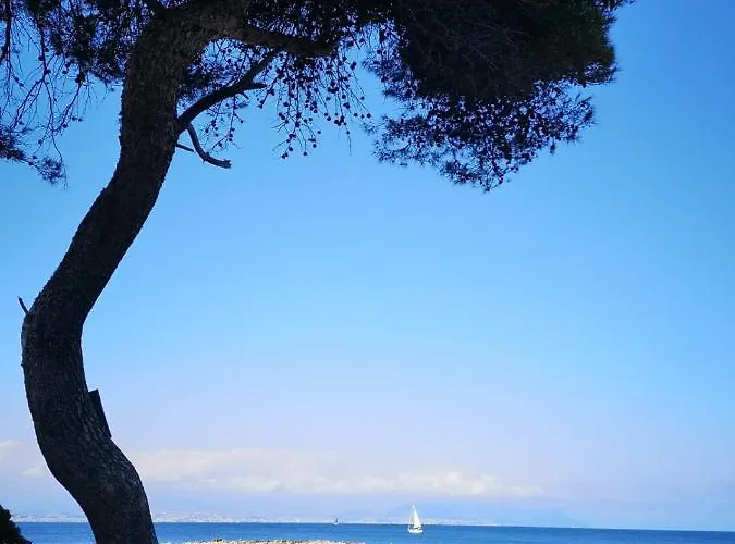 Διαμέρισμα 5 Min To Sea Francaise Old Town *