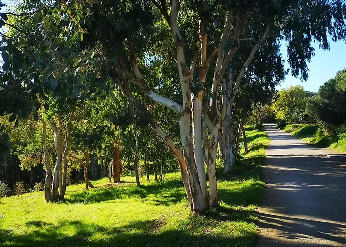 5 Min To Sea Francaise Old Town