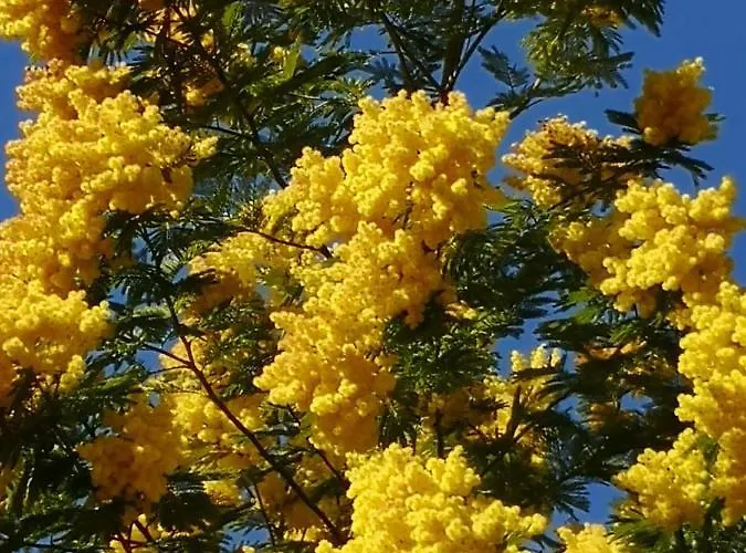 Διαμέρισμα 5 Min To Sea Francaise Old Town Αντίμπ