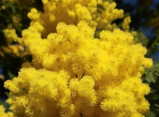 5 Min To Sea Francaise Old Town Antibes